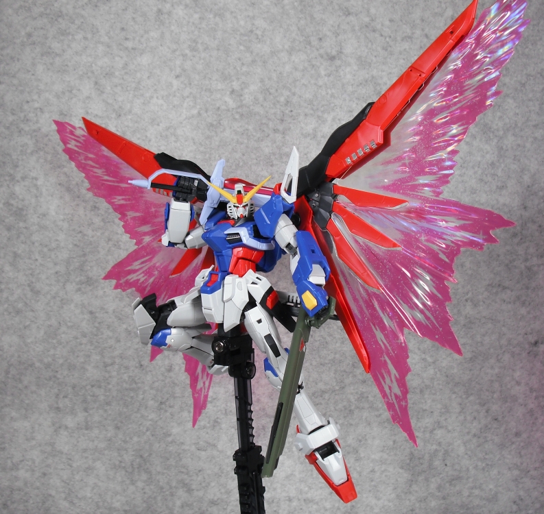 RG 「デスティニーガンダム」＆「拡張エフェクトユニット