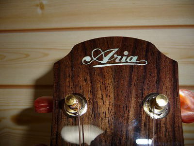 アコギ ARIA ADF-CST