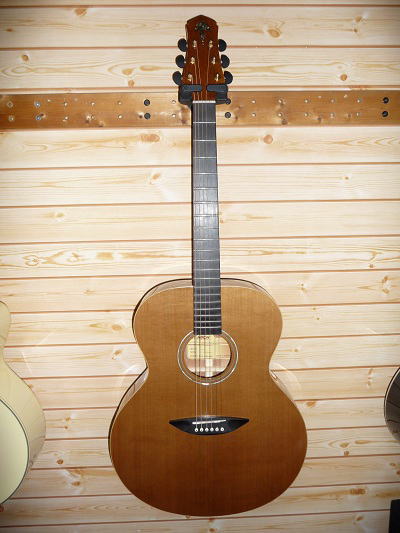 アコギ SAMICK Greg Bennett TAJ－1