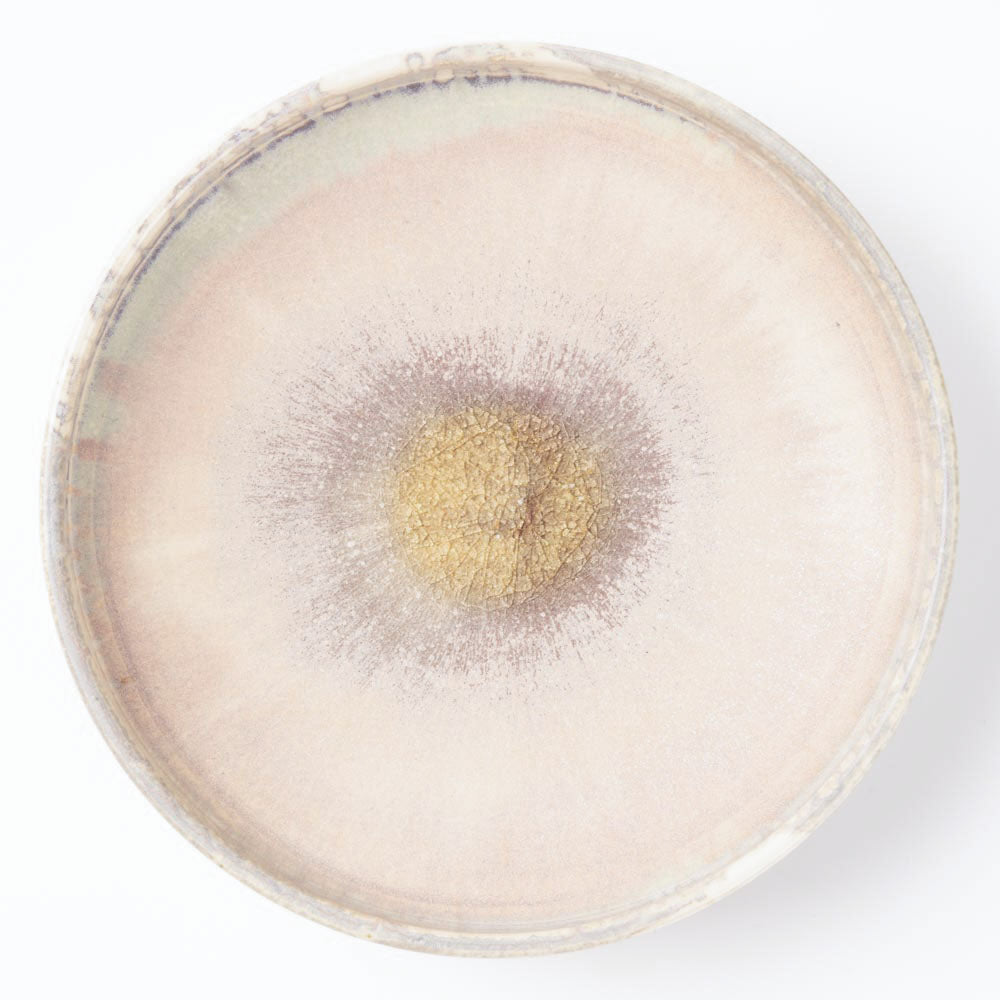 作家 杉山悠 取り皿 桜色 ¥2,860 大人の焼き物