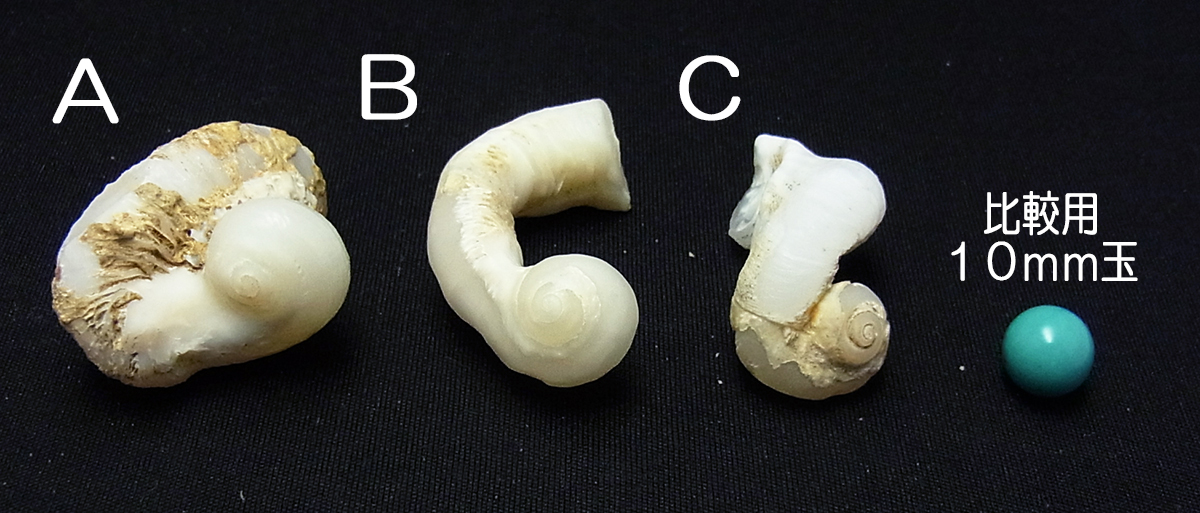 ケオン（ミラクルケオン） 原石