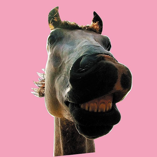 10/28発売ハイロウズ全10タイトルアナログ化！ご予約受付中です