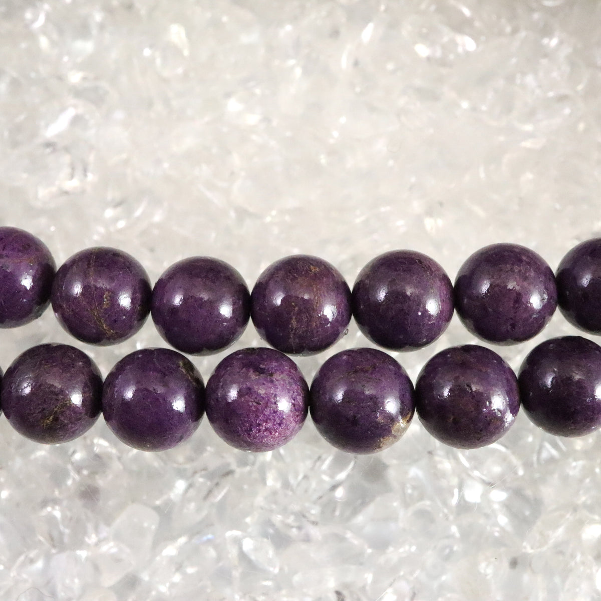 IMG_8757_1200x1200.jpg?v=