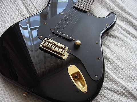 Bill Lawrence BC-OR 55G: frog mania