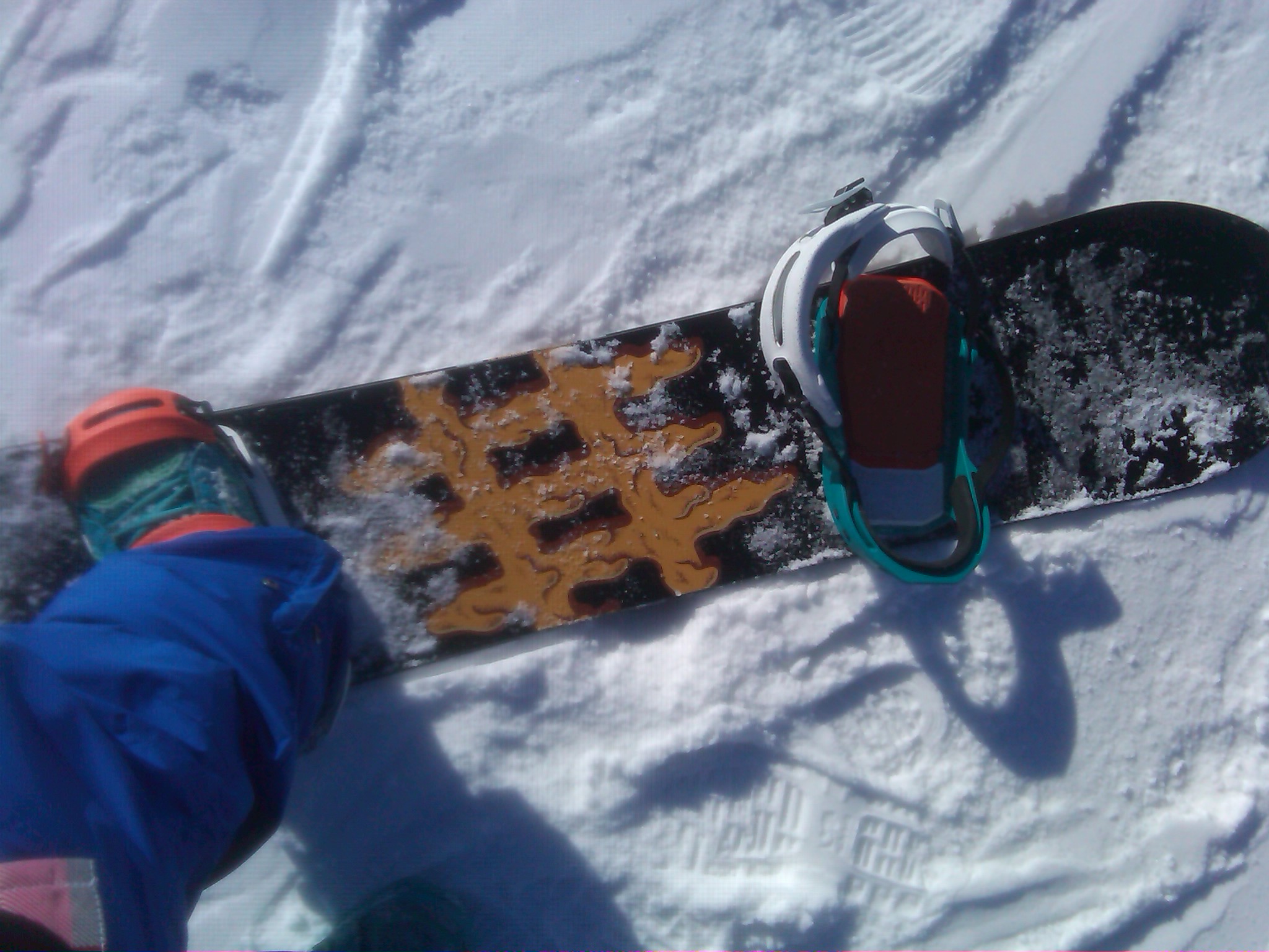 2013 Lobster Parkbaord Review