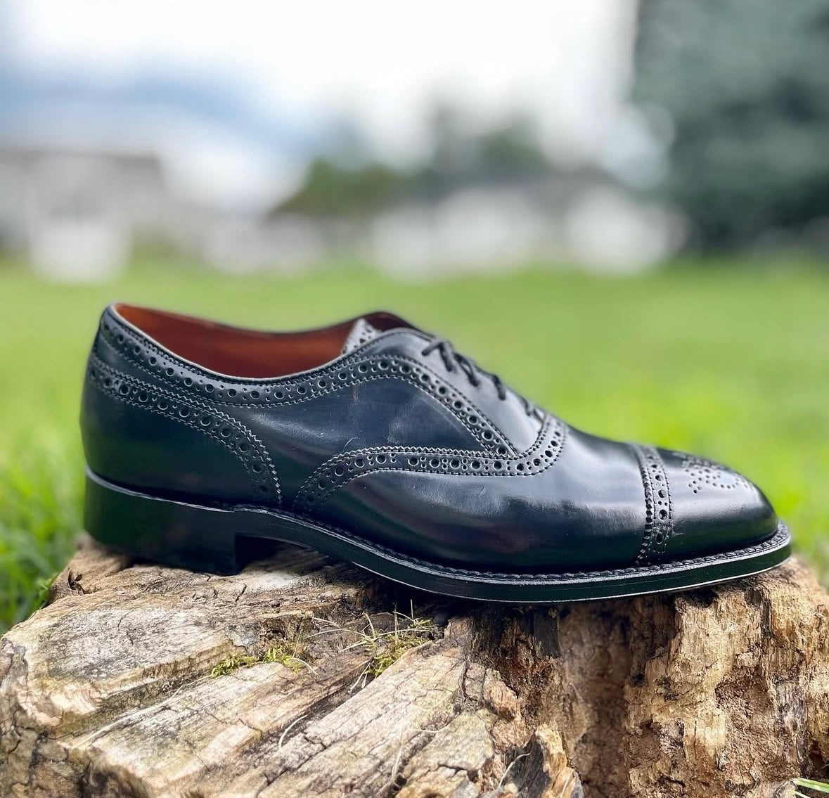 9841 - Medallion Cap Toe Bal in Black Shell Cordovan – ALDEN SHOES