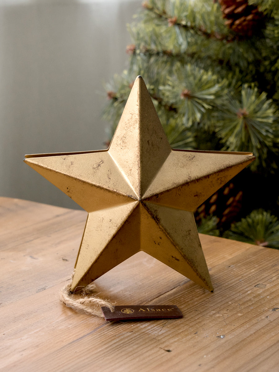 トップスター【大 / 小】柊 – alsace_tree