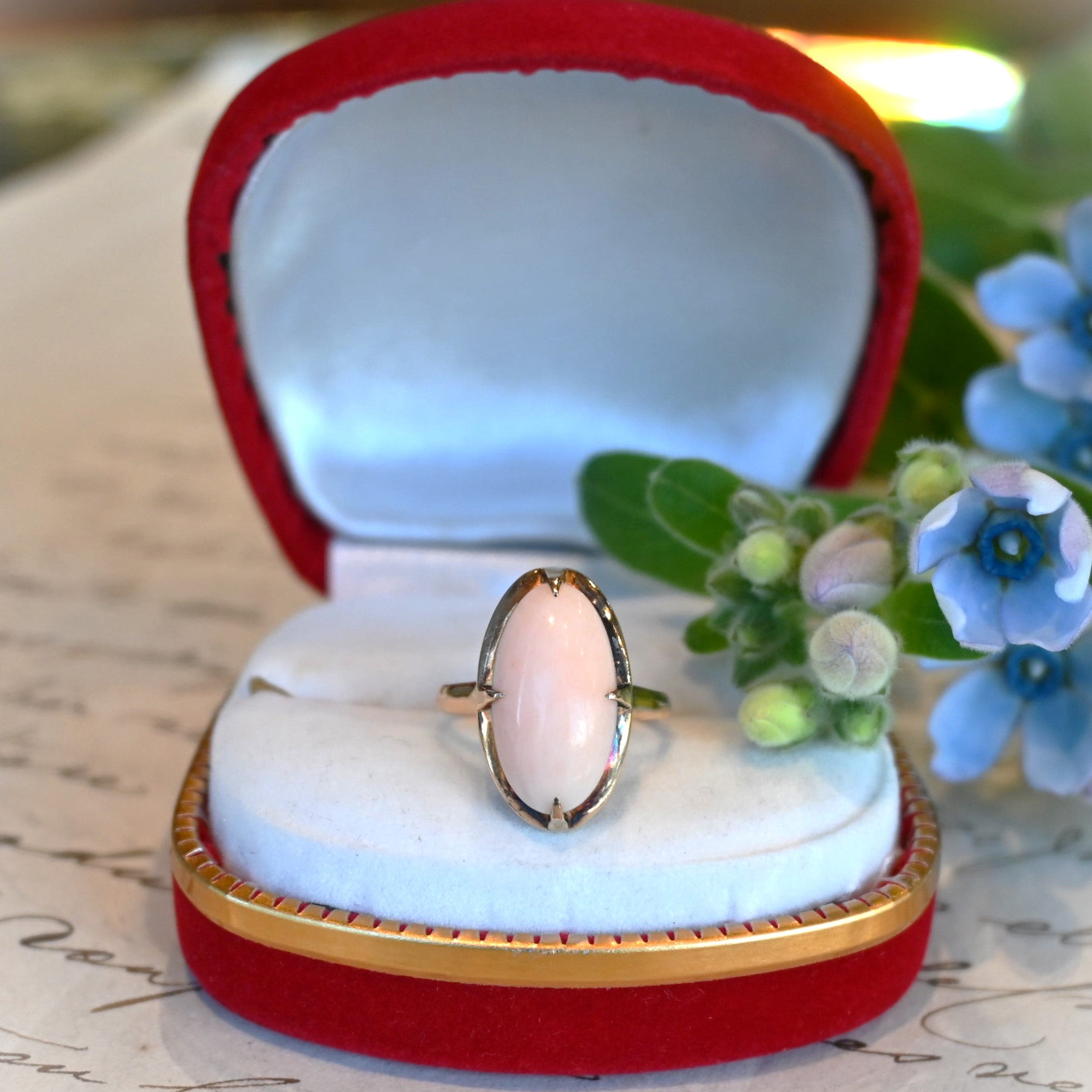 シャープな珊瑚 リング | 芦屋Antico