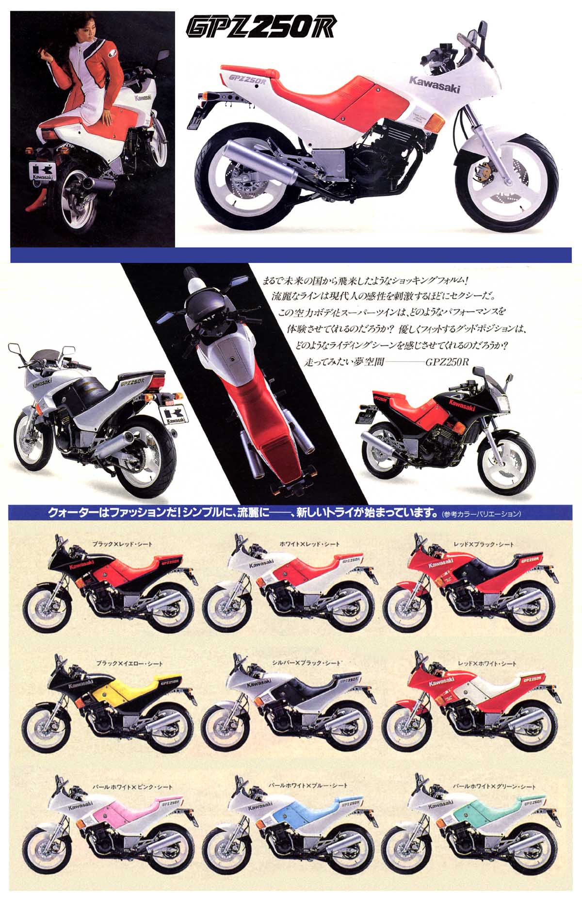 無縁単車墓地群 その7 GPZ250R