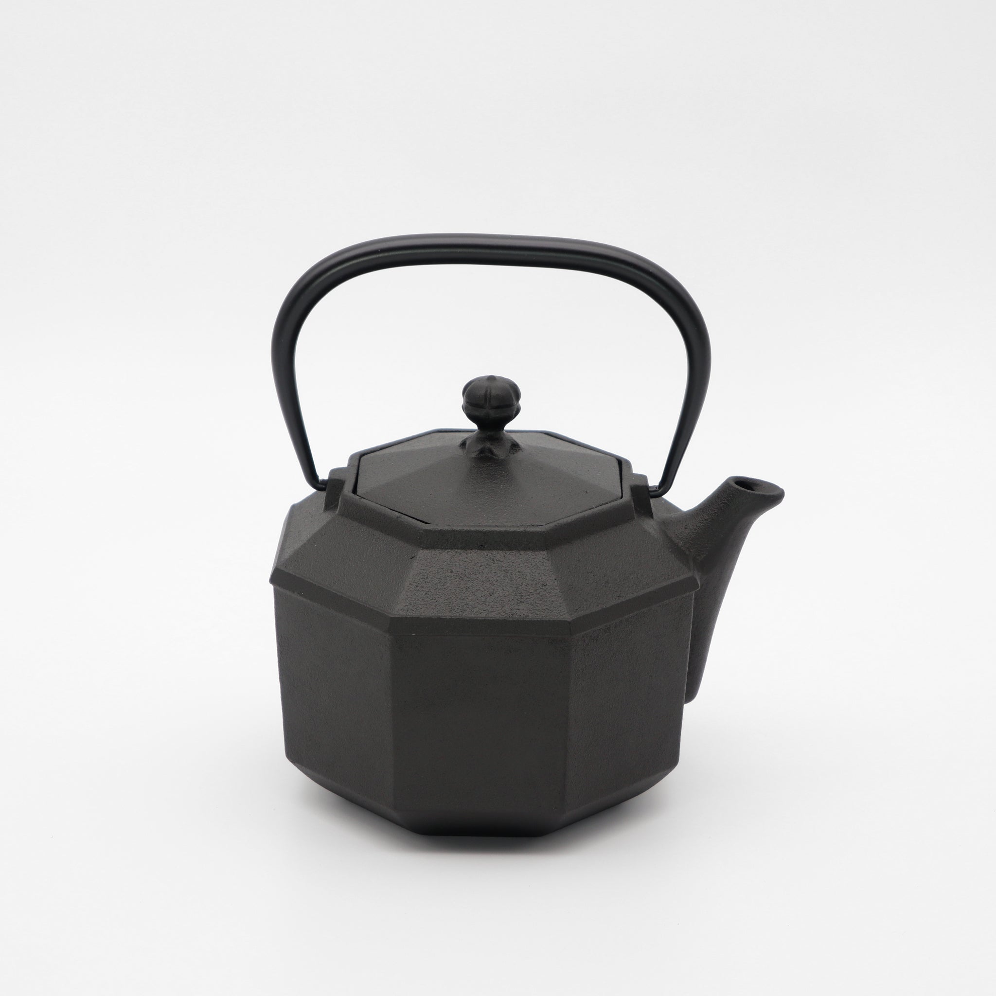 龍文堂 八角形 鉄瓶 風景模様 龍文堂 - 鉄瓶