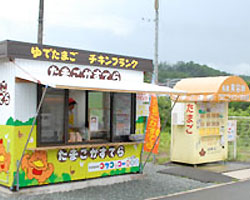 卵販売・有精卵のコケコッコー共和国 - 勢和多気店