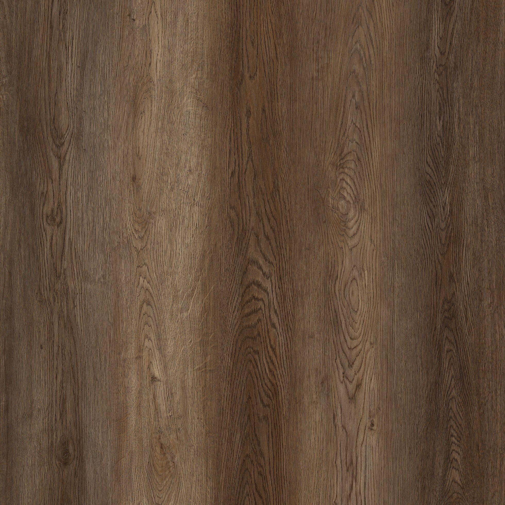 803-cc.jpg?v=1722879888&width=5760