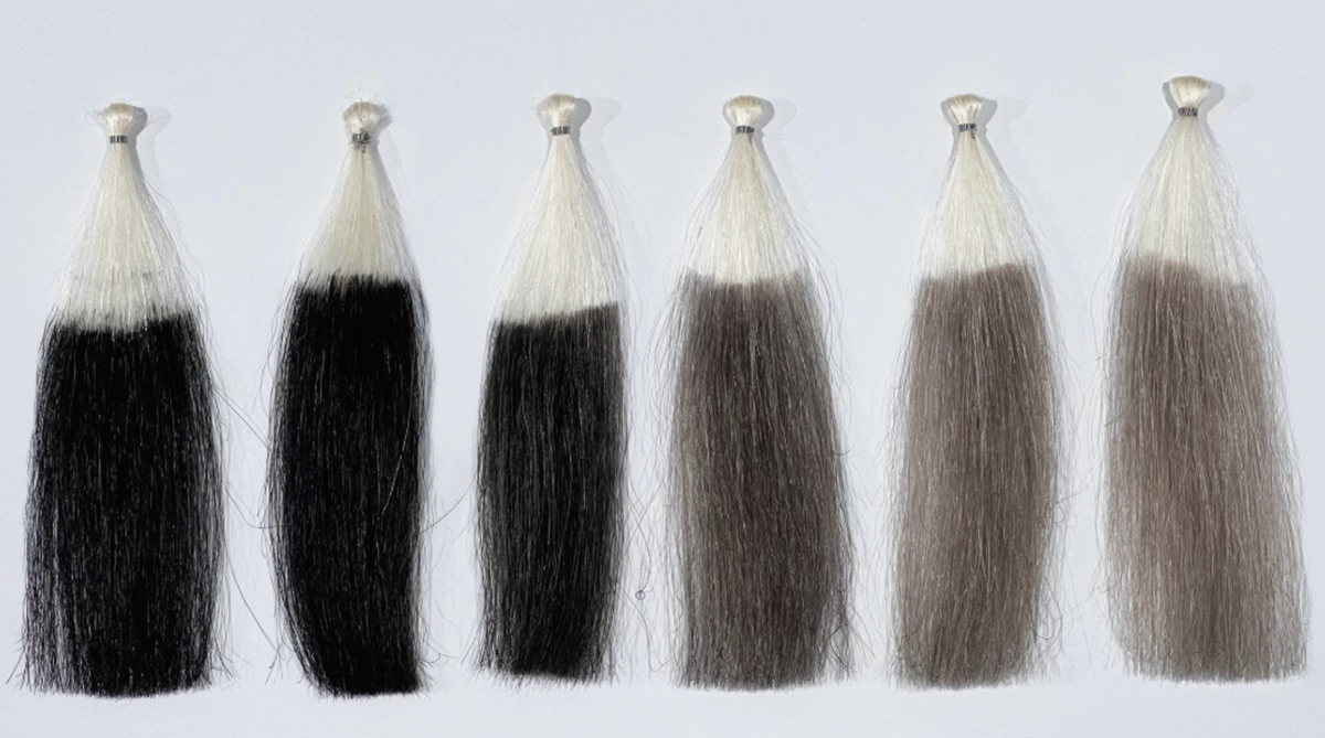 香草カラーMDブラック』 「黒」で広がる色提案 | ランドプランニング