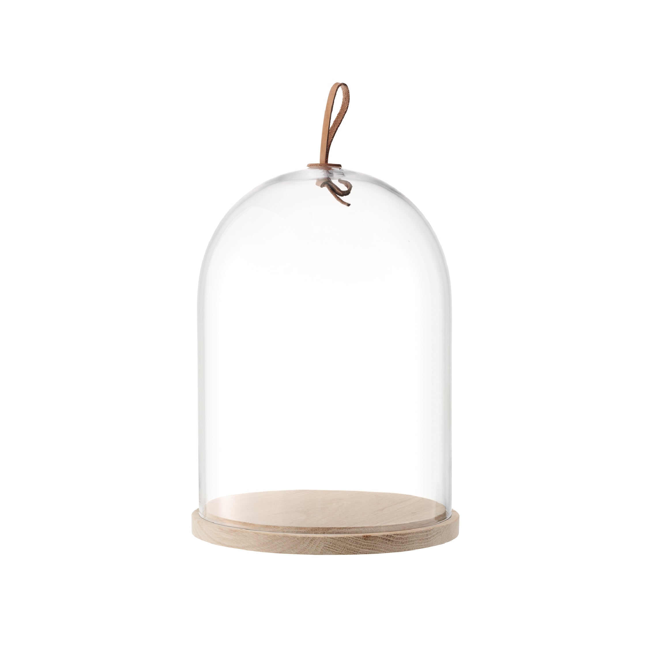 IVALO イバロ Dome & Ash Base / Living Talk Decor リビングトーク