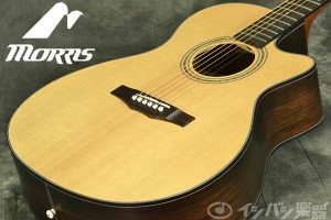 新品】 Morris S-801 NAT （ナチュラル） – GuitarQuest イシバシ楽器