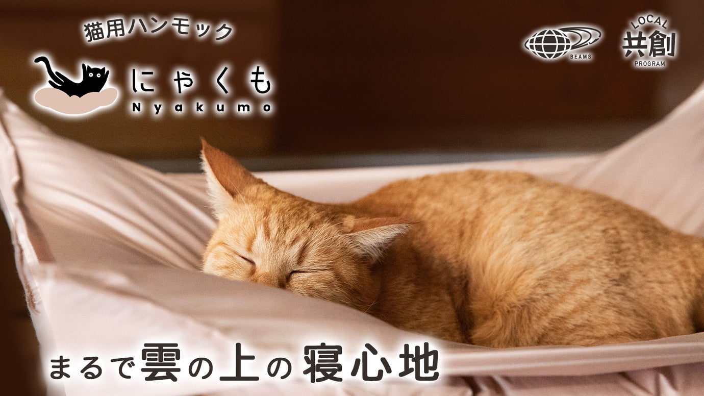 まるで雲の上の寝心地 布団屋が作った猫用ハンモック「猫雲（にゃくも