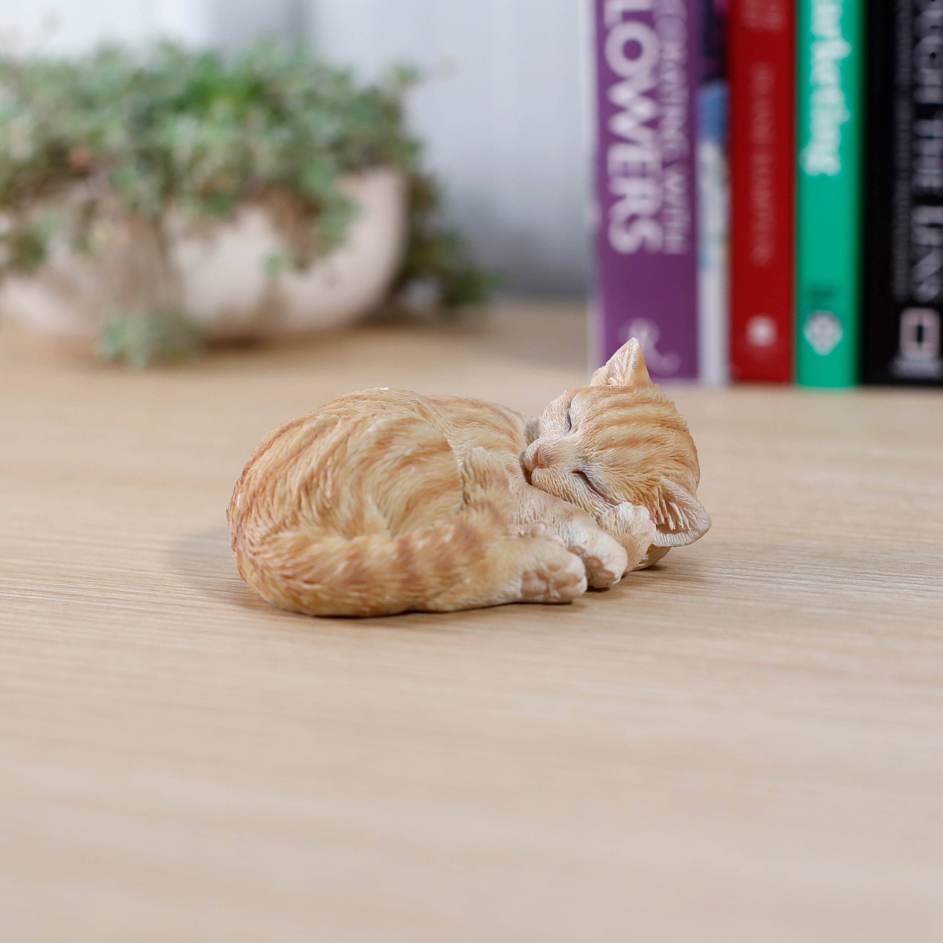 H13118-1B.jpg?v=1721039891