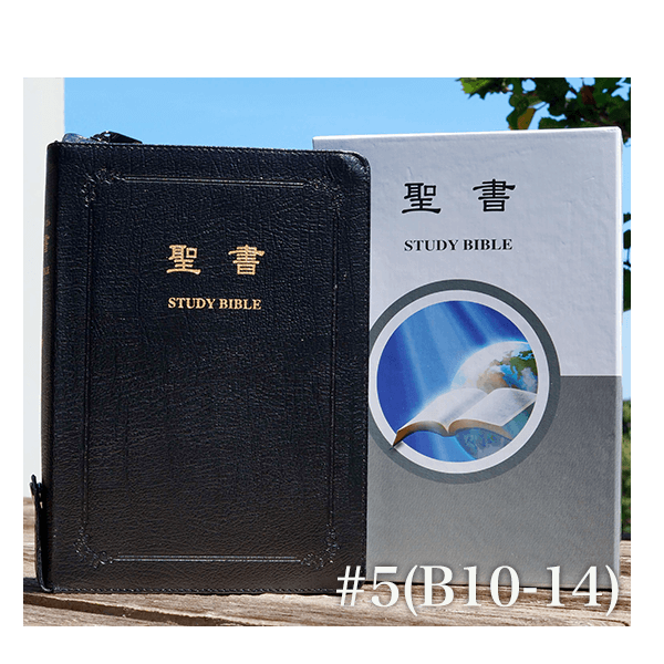 スタディバイブル 口語訳 第4版 – サンライズミニストリー