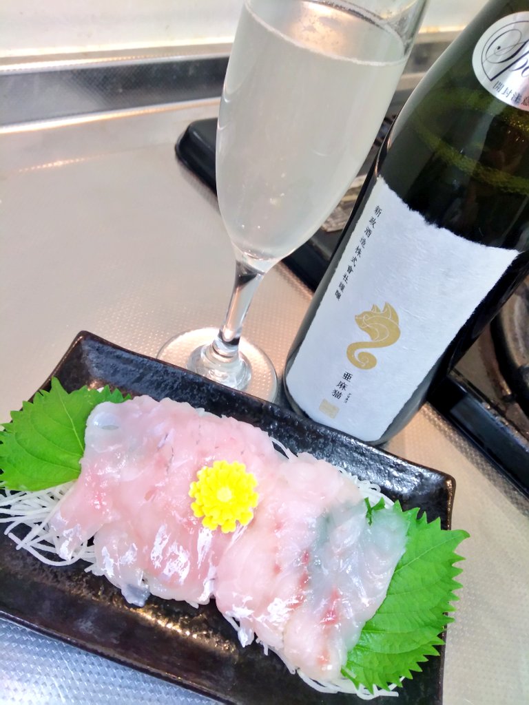 秋田県 新政 亜麻猫スパーク 2024 ～亜麻スパ2ndのにごり