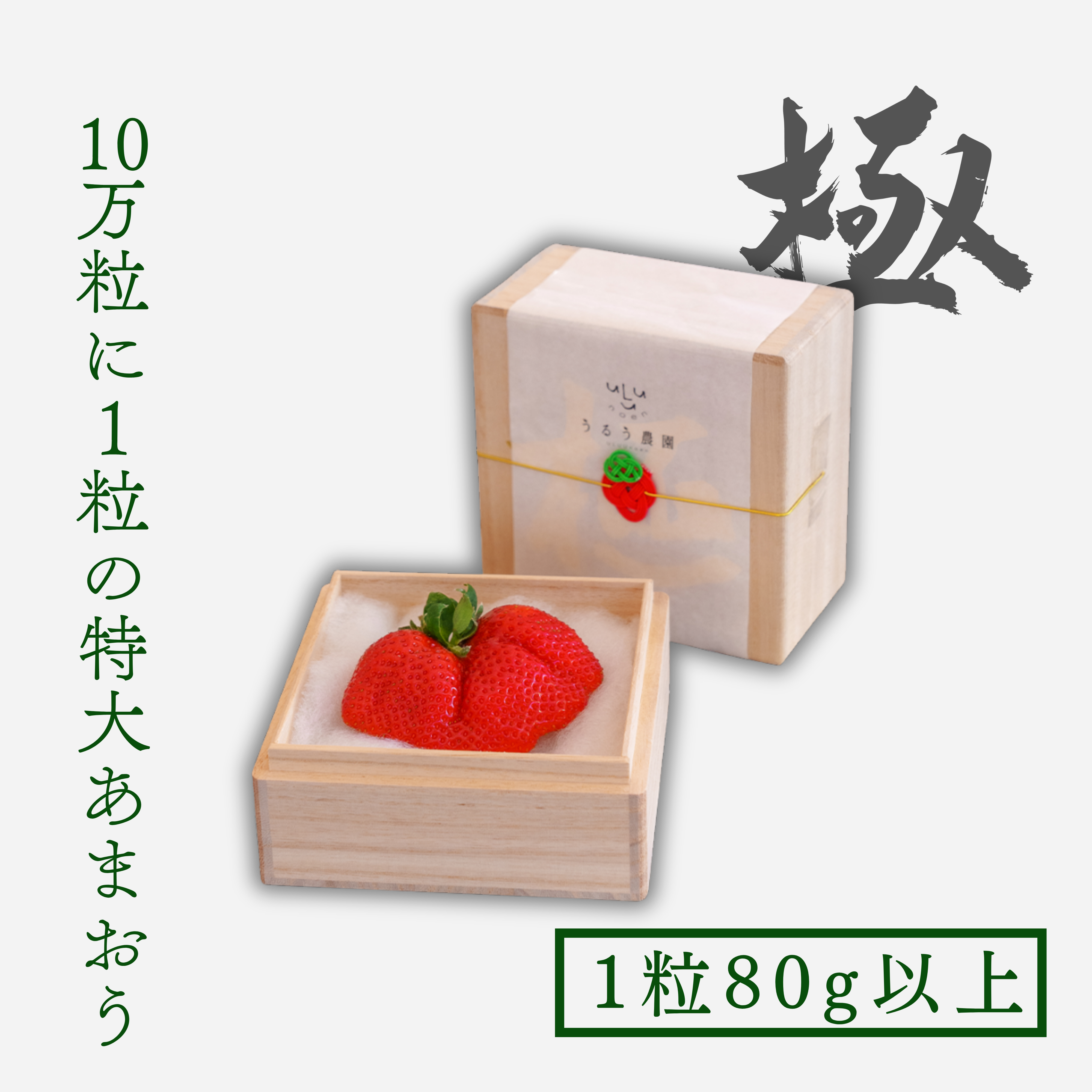 福岡県うるう農園 特大あまおう苺「極」