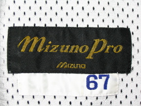 大阪近鉄バファローズ ホーム用