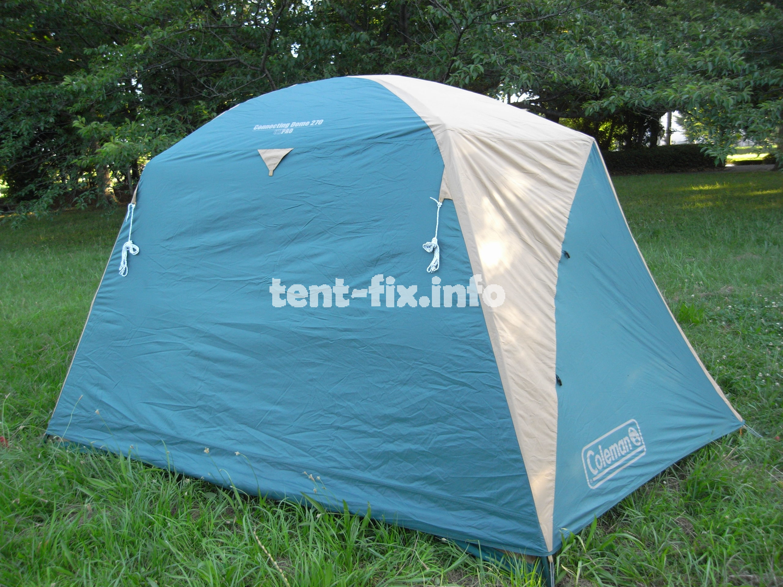 コールマン コネクティングドーム270 (#3)