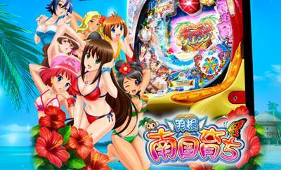 CR南国育ち 羽根｜保留・演出信頼度・スペック・ボーダー | パチンコ