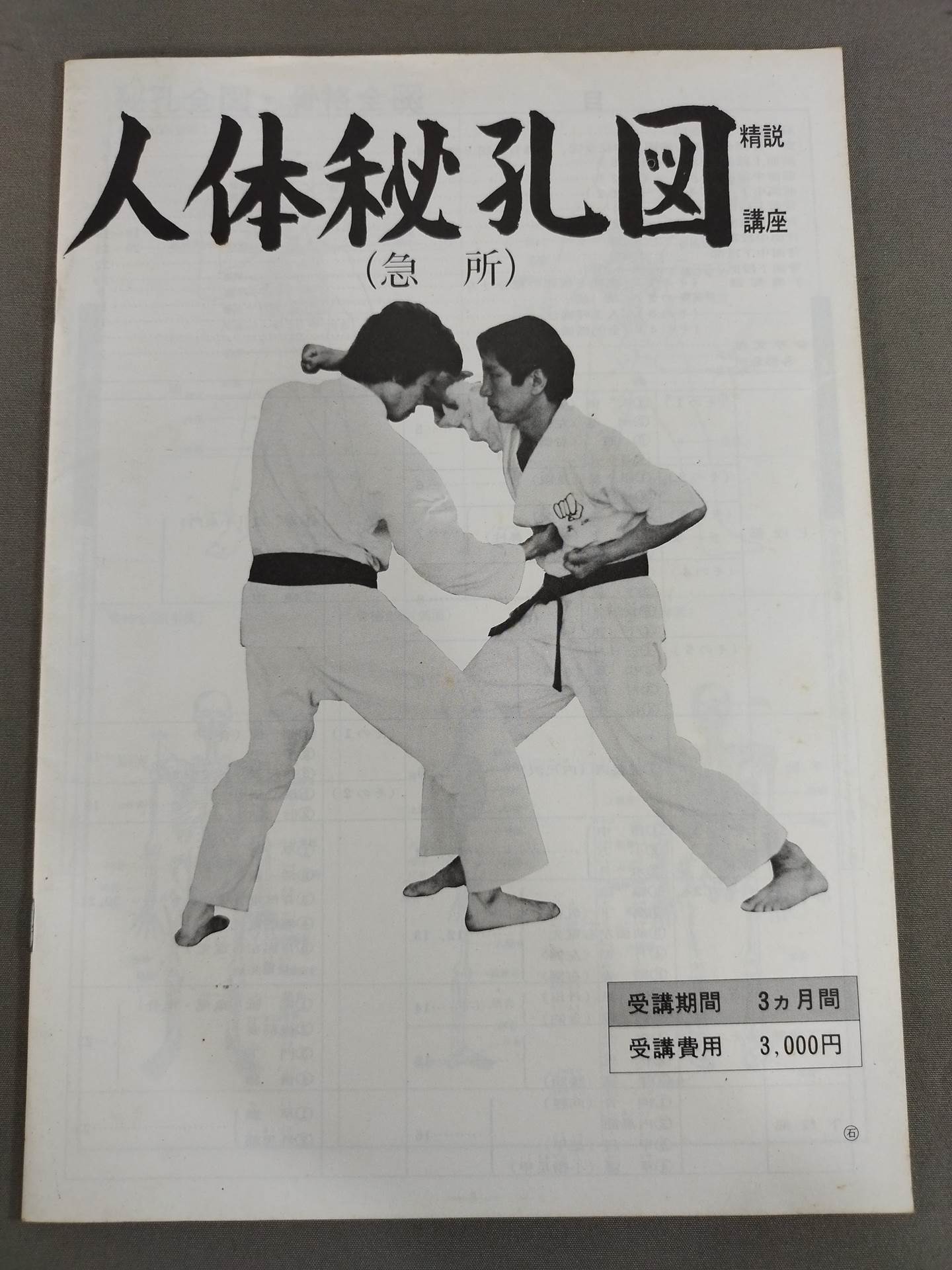 中国拳法大講座 全27冊 形意拳道 4冊 人体急所図 中国拳法大講座 全27