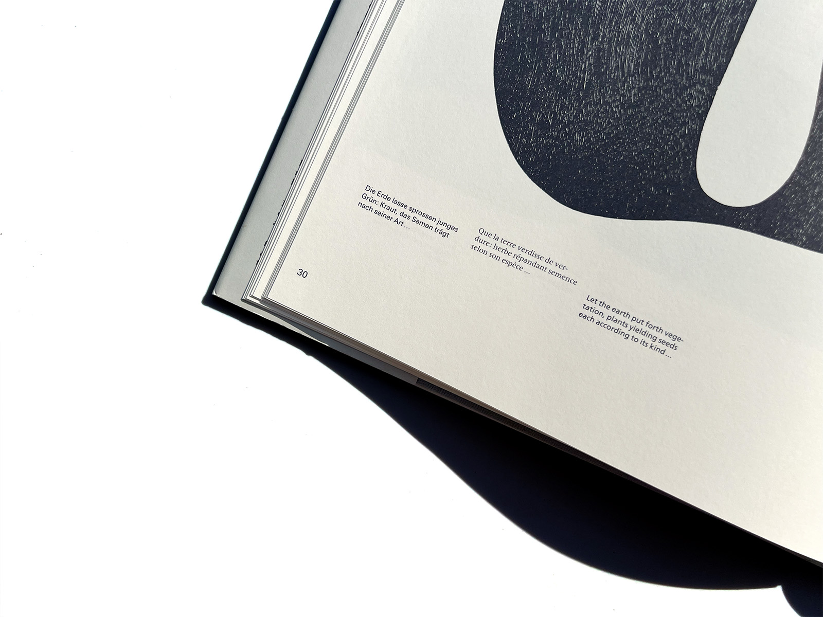 Adrian Frutiger Forms and Counterforms | PAGE SPREAD