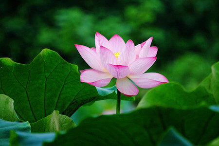 About Us | ピースストア/Peace Store