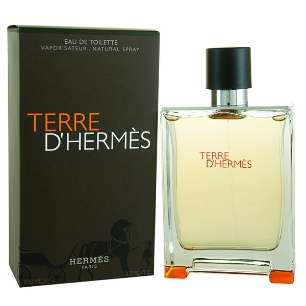 Terre D'Hermes Cologne for Men by Hermes Online in Canada