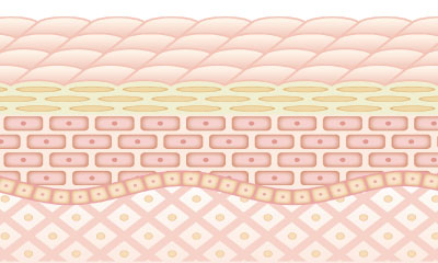 ユーアイパーフェクトリッチゲル｜株式会社プリモワールド・ジャパン