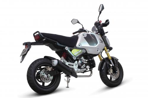 SPECIAL PARTS TAKEGAWA / スポーツマフラー(ノーマルルックスタイル