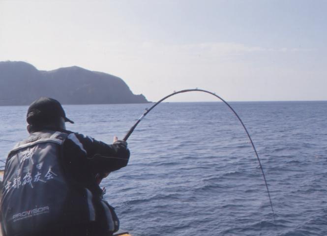 おやじの道具箱・イシダイ・クチジロ