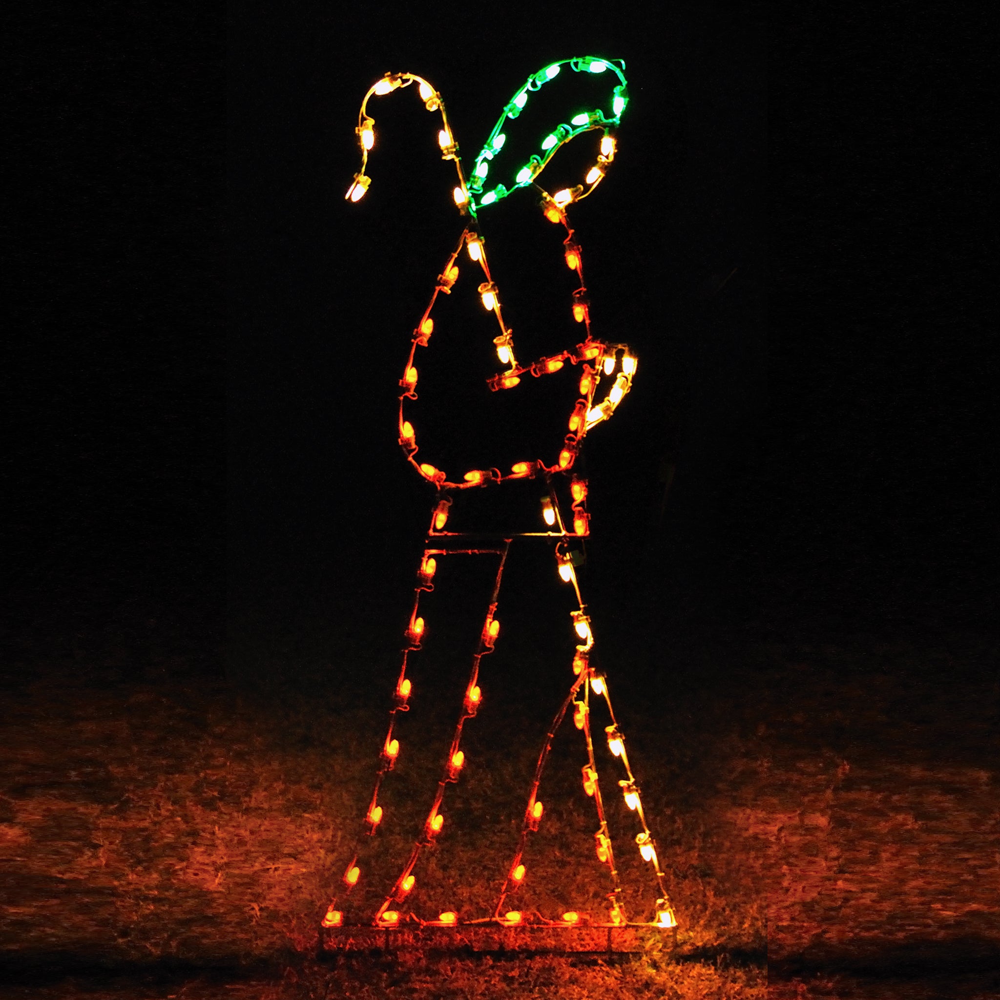 Shepherd Christmas Lights – HolidayLights.com