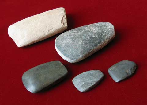 磨製石斧（祇園原貝塚）／市原歴史博物館