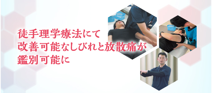 上肢における絞扼性末梢神経障害の評価と治療～神経系