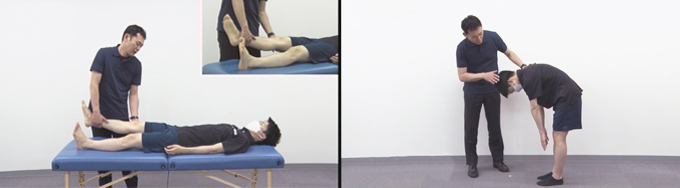 下肢における絞扼性末梢神経障害の評価と治療～神経系