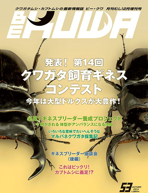 ビークワ53号（BE・KUWA） 特集!! クワガタ飼育ギネス コンテスト