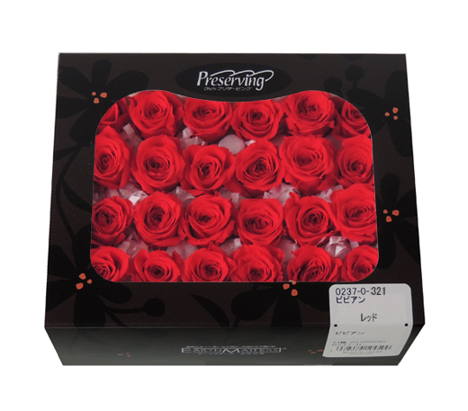 大地農園・ビビアン・レッド24輪 | プリザーブドフラワーKnext