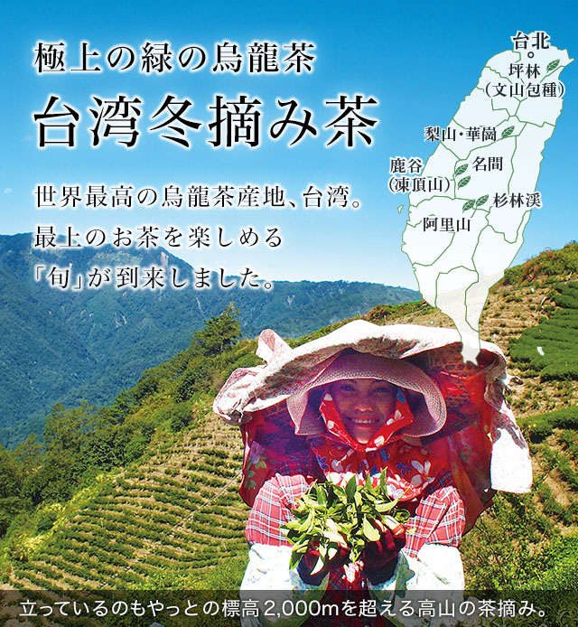極上の緑の烏龍茶 台湾冬摘み茶｜世界のお茶専門店 ルピシア ～紅茶