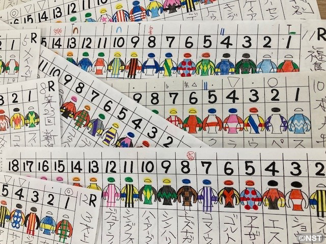 命名馬の孫がデビュー | NST新潟総合テレビ