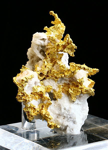 化石・鉱物・隕石・地学標本の専門商社 プラニー商会