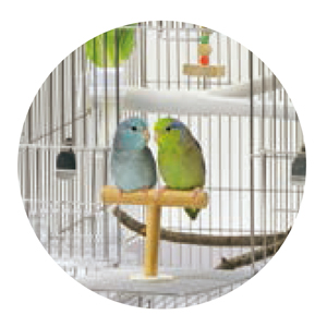 イージーホーム ステンレス37バードWH ｜ 株式会社三晃商会