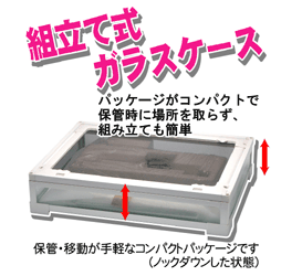 パンテオン ブラック BK6035 ｜ 株式会社三晃商会