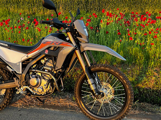 2023~CRF250L (8BK-MD47) POWERBOX パイプ SANPO｜SP忠男 | オリジナル