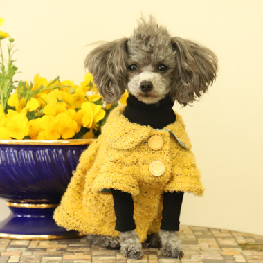 GG MADE IN TOKYO.』『GG+KIITI』『GG DENIM LINE』『Chocolat de