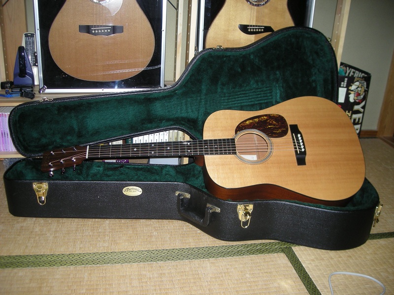 Martin D-16GT 紹介 解説 仕様 マーティン マーチン スプルース
