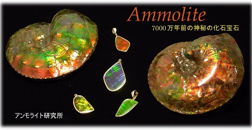 カナダの化石宝石「アンモライト」byアンモライト研究所｜一般社団法人