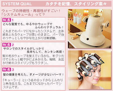 美容室 資生堂システムキュール デジタルパーマ 美品 説明書付